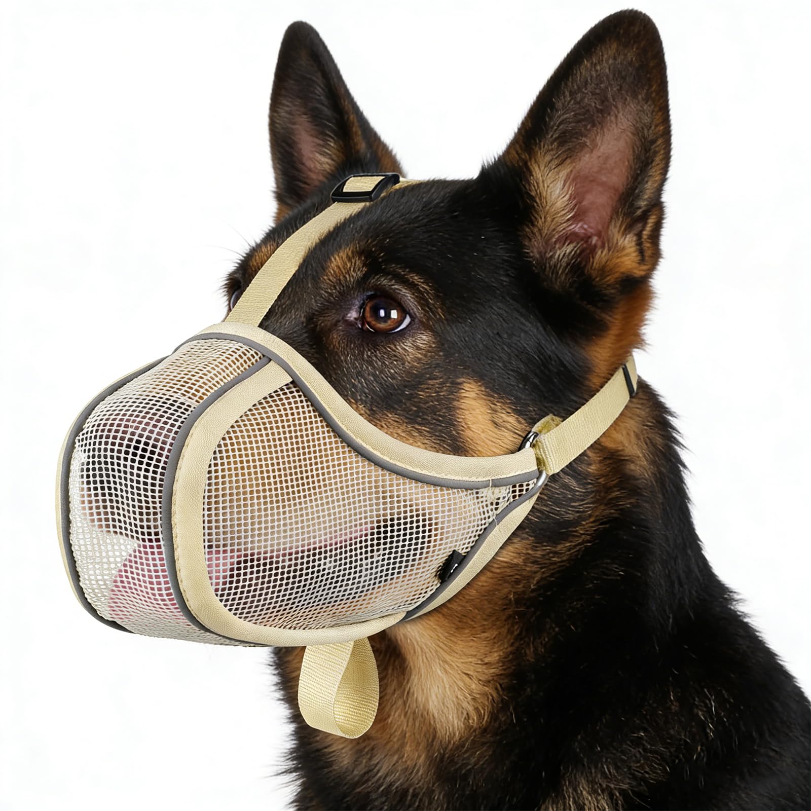 Mayerzon muselière pour chien – respirante et réglable, idéal pour le toilettage en douceur.