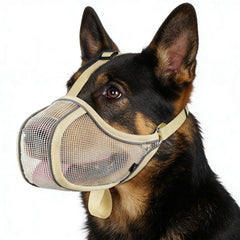 Mayerzon muselière pour chien – respirante et réglable, idéal pour le toilettage en douceur.