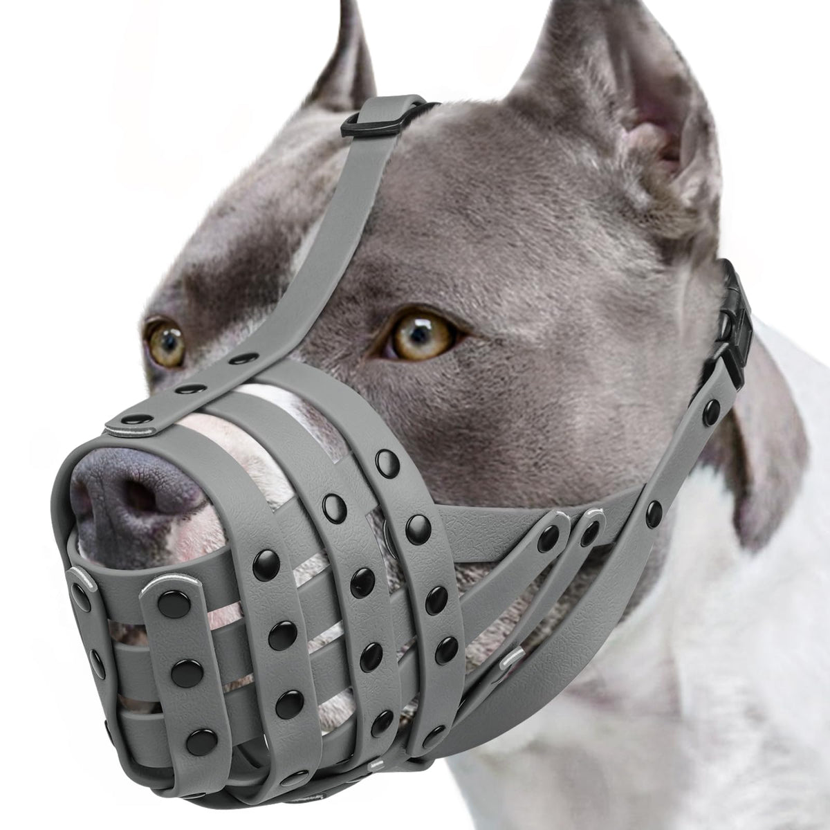 Mayerzon Muzzle Panier grande taille – confort lors de promenades.