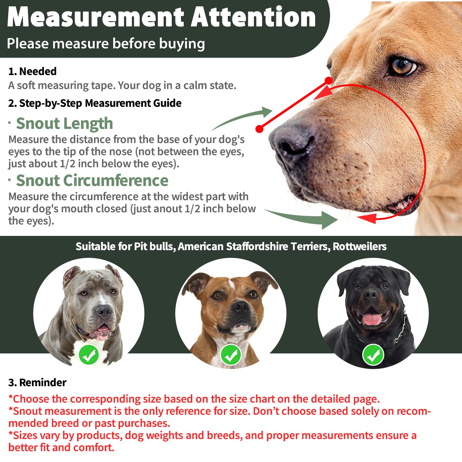 Mayerzon Muzzle Pitbull Sangles Tete, ajustement précis pour un bon maintien.