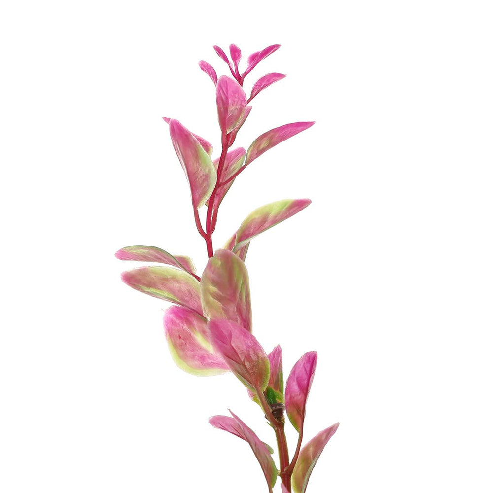 Mayitr Rhodo Red: base pierre stabilisant le placement du décor.