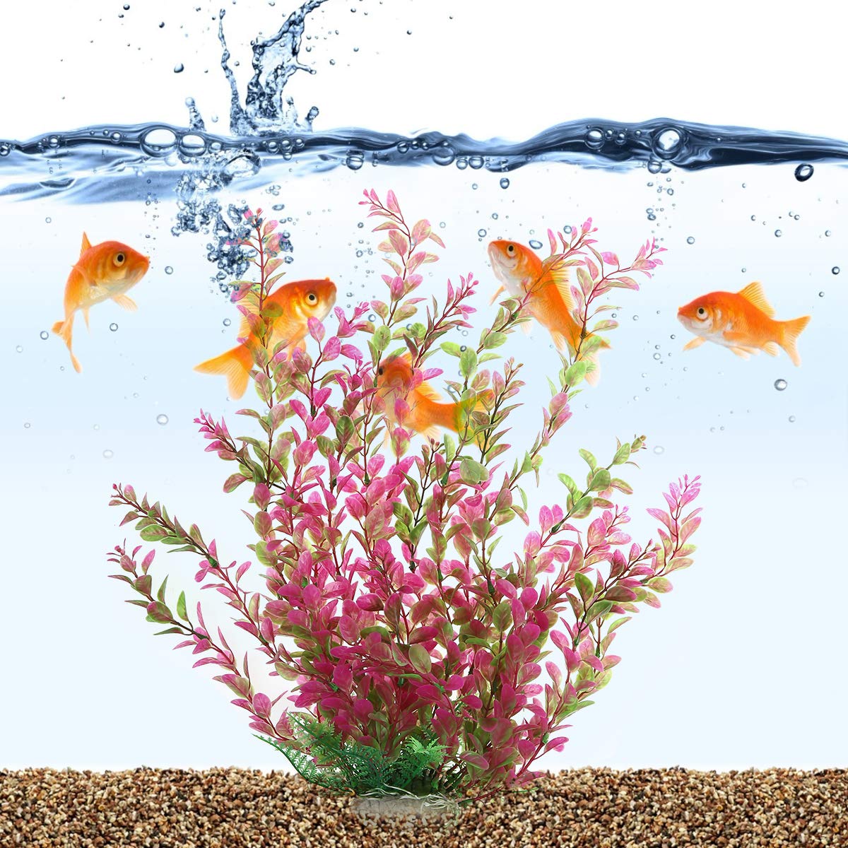Mayitr Rhodo Red: feuillage coloré pour animer l’aquarium sans soins quotidiens.