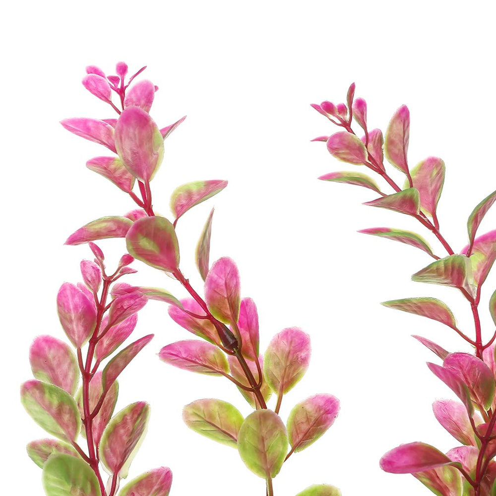 Mayitr Rhodo Red: présence décorative sans effort d’entretien quotidien.
