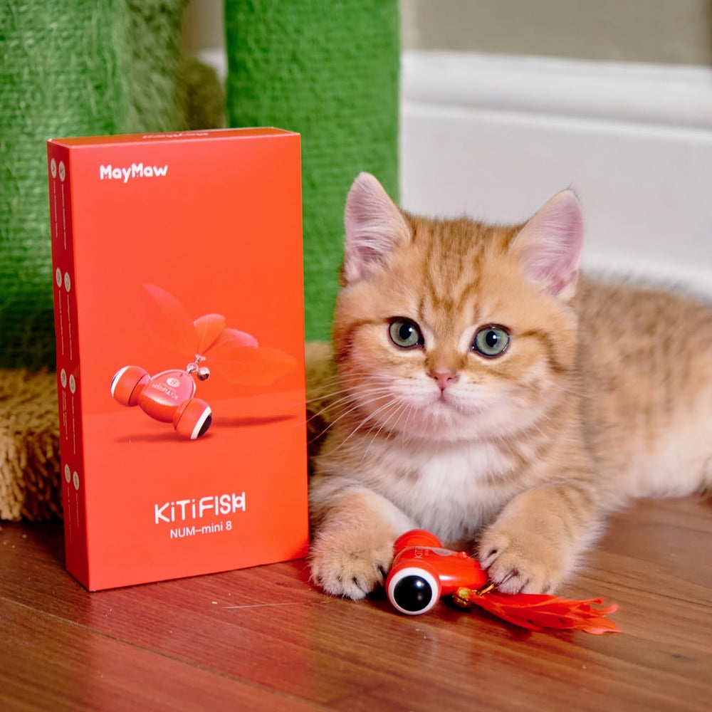 MayMaw KiTiFISH: jouet automatique pour chat avec mouvements variés favorisant l'exercice