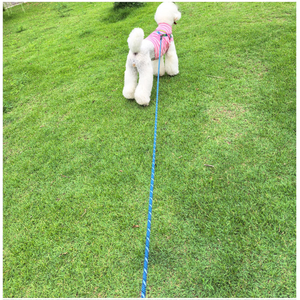 MayPaw laisse-chien longueurs multiples 8, choisissez la distance adaptée à l’activité.
