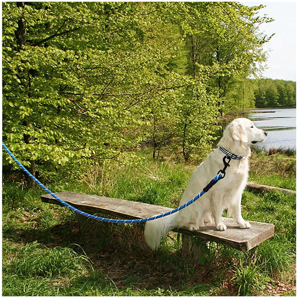 MayPaw laisse-chien usage plein air, polyvalente pour promenades et entraînements extérieurs.