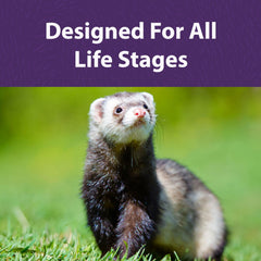 Mazuri protéines animales – source adaptée pour furet carnivore et nutrition équilibrée.