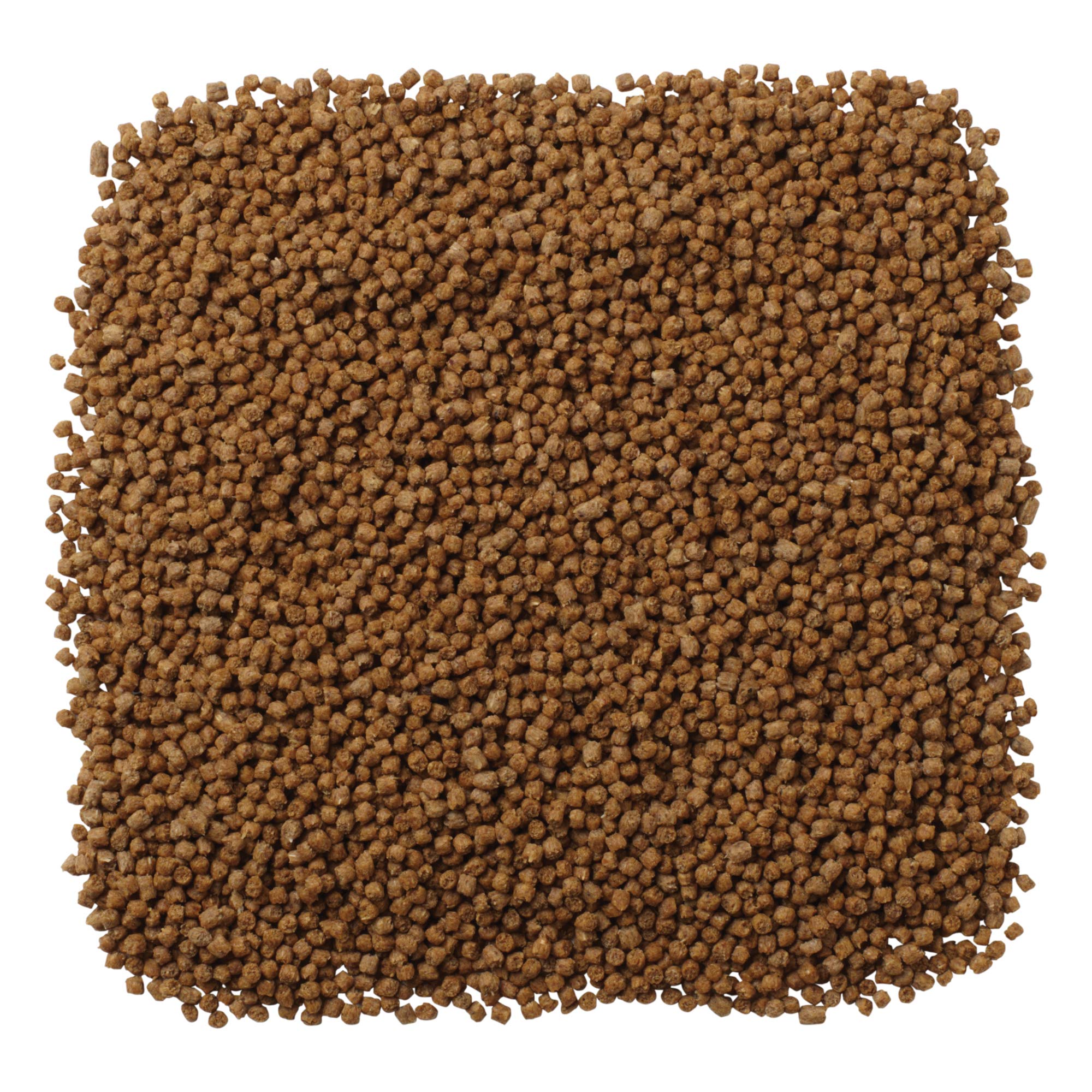 Conseils d’utilisation Mazuri pour hérissons, alimentation simple et équilibrée.