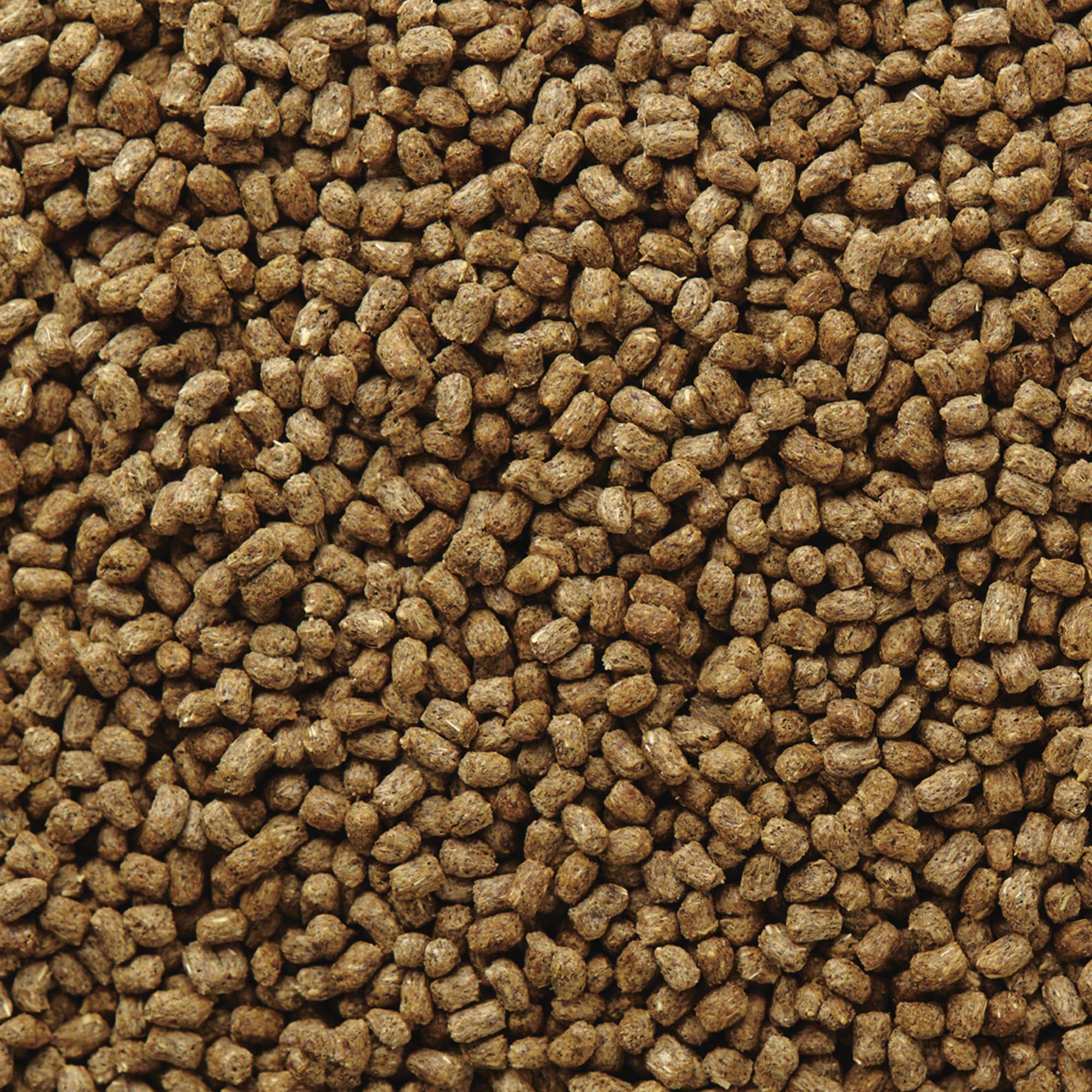 Emballage Mazuri, formulation adaptée pour reptiles insectivores.