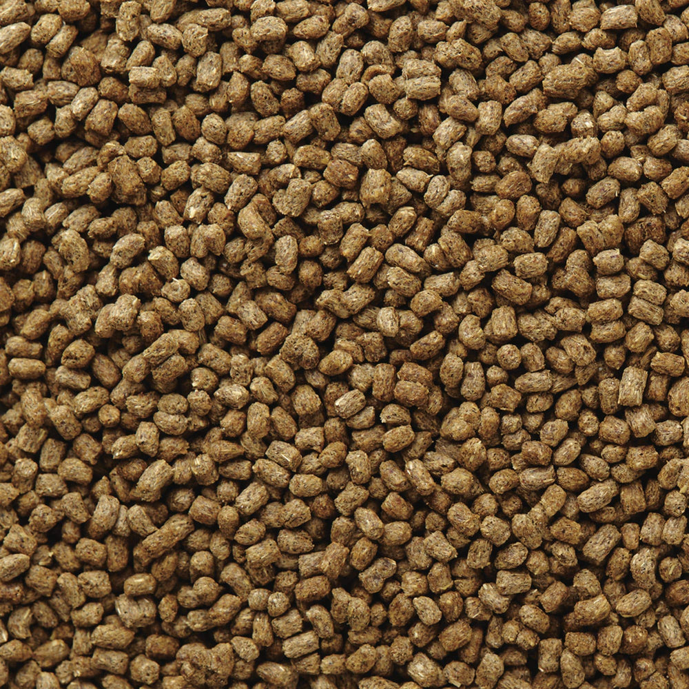 Emballage Mazuri, formulation adaptée pour reptiles insectivores.