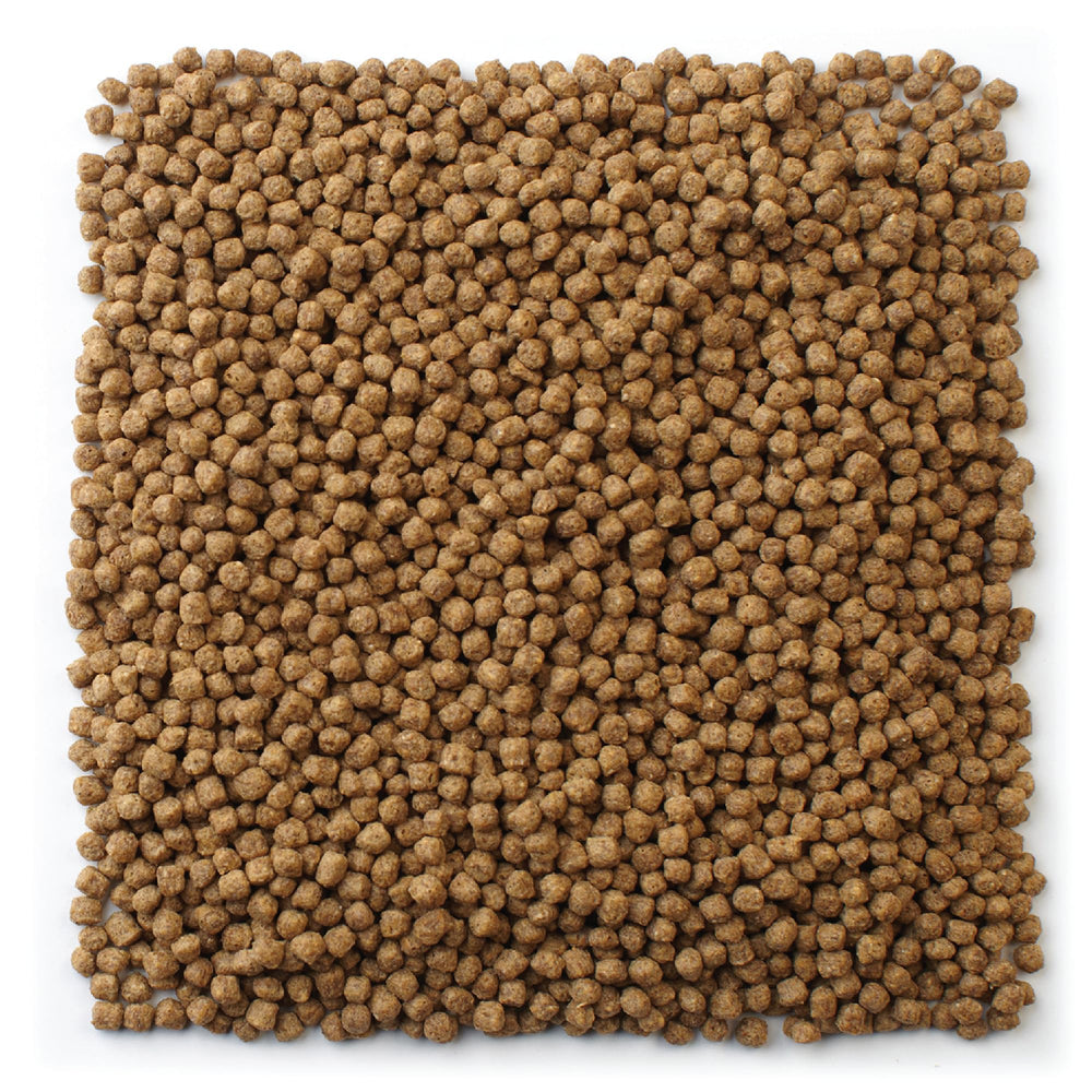 Mazuri Koi Premium Food Small germes de blé intégrés, aide à la digestion et à la vitalité