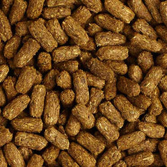 Mazuri — probiotiques vivants pour soutenir le système digestif des tortues.