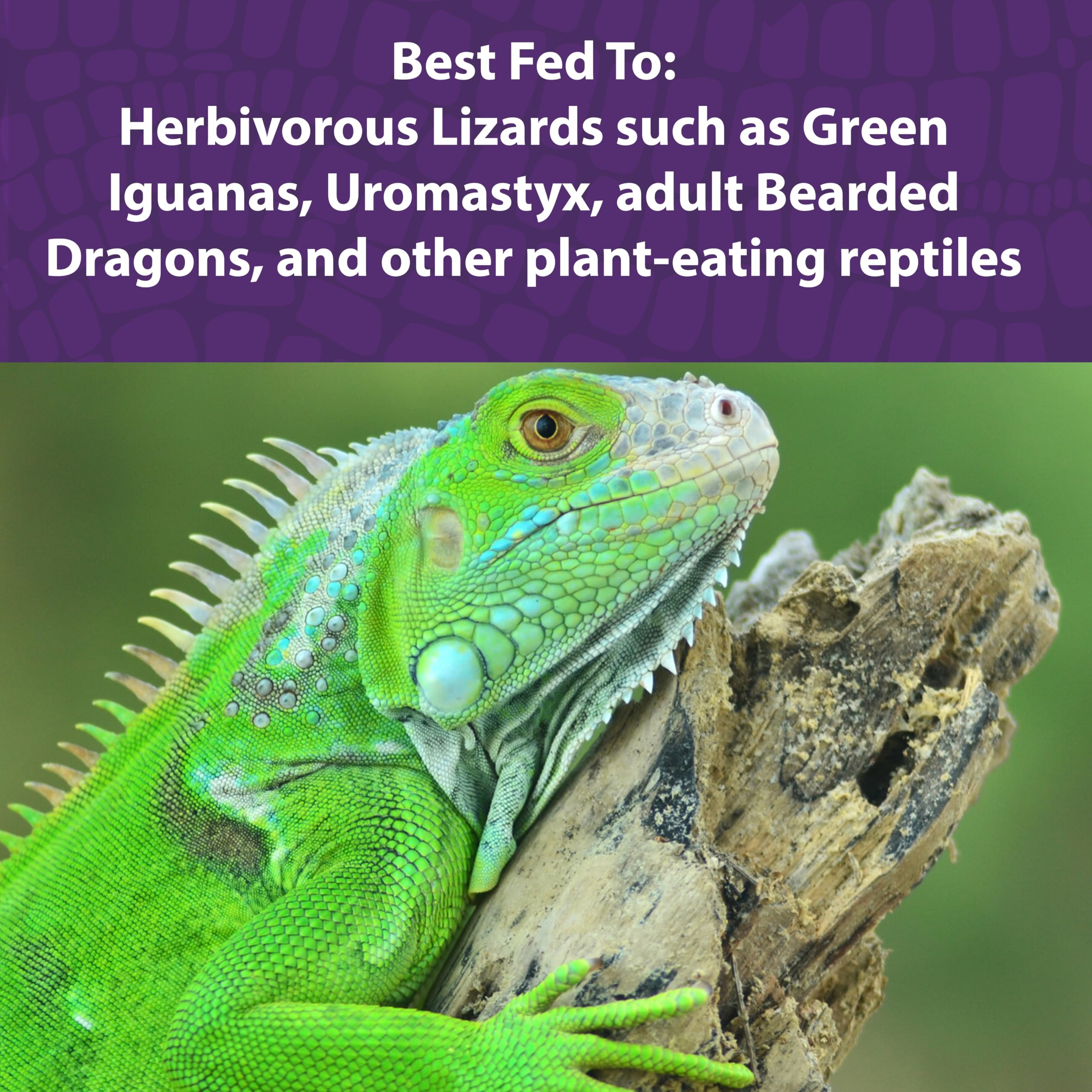 Mazuri Nourriture Reptiles Herbivores: probiotiques vivants, aide potentielle à la digestion.