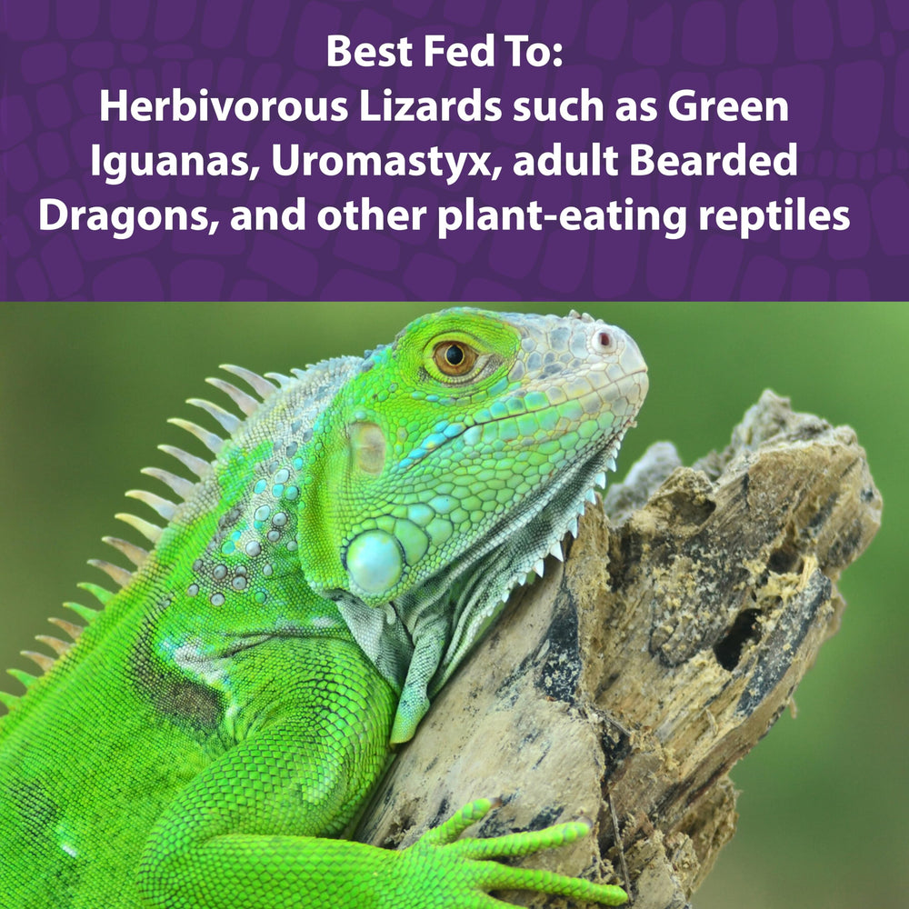 Mazuri Nourriture Reptiles Herbivores: probiotiques vivants, aide potentielle à la digestion.