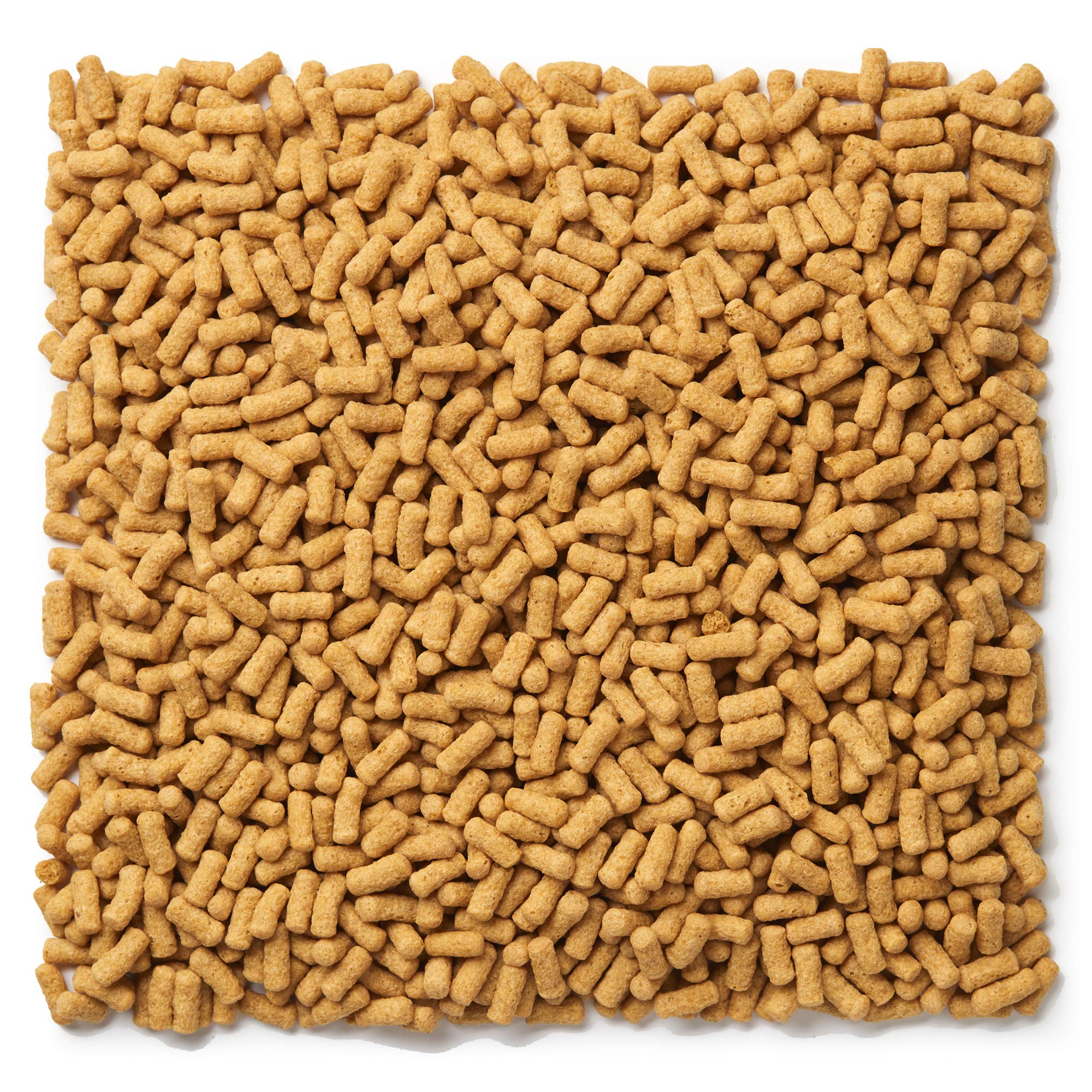 Texture poudre légère de Mazuri Softbill pour une préparation facile.