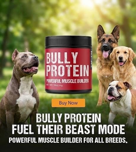 MBF SUPPLEMENTS Bully Protein – doseur prêt à saupoudrer sur les repas
