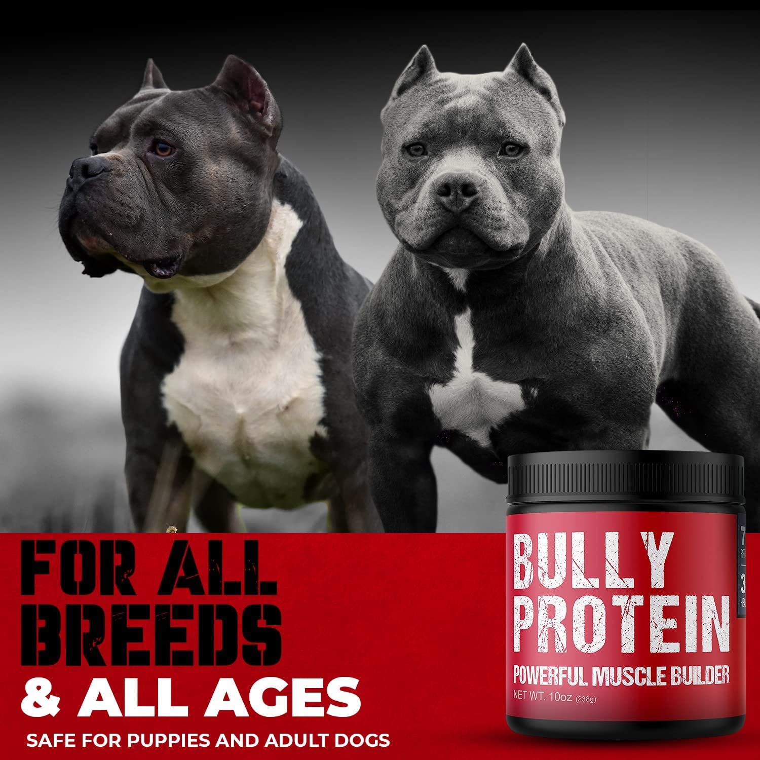Chien savourant son repas avec Bully Protein MBF SUPPLEMENTS ajouté