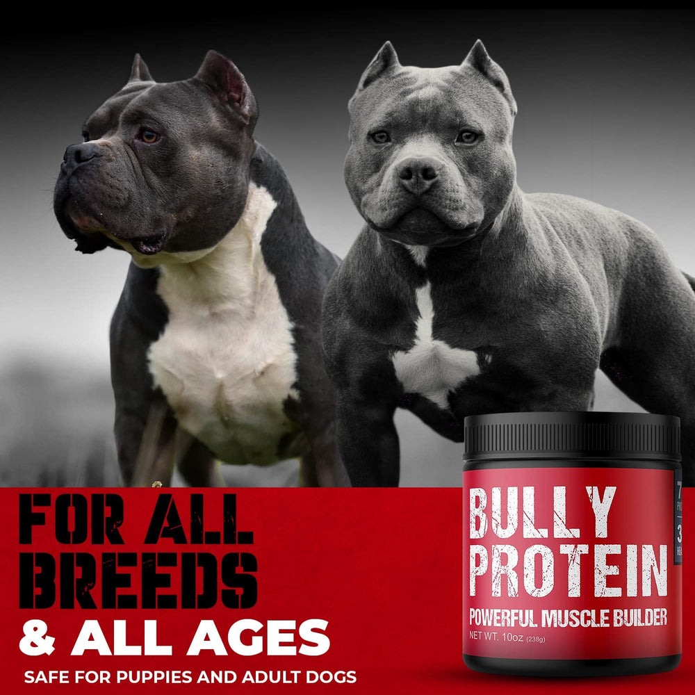 Chien savourant son repas avec Bully Protein MBF SUPPLEMENTS ajouté
