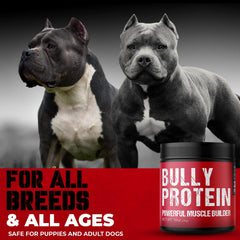 Chien savourant son repas avec Bully Protein MBF SUPPLEMENTS ajouté