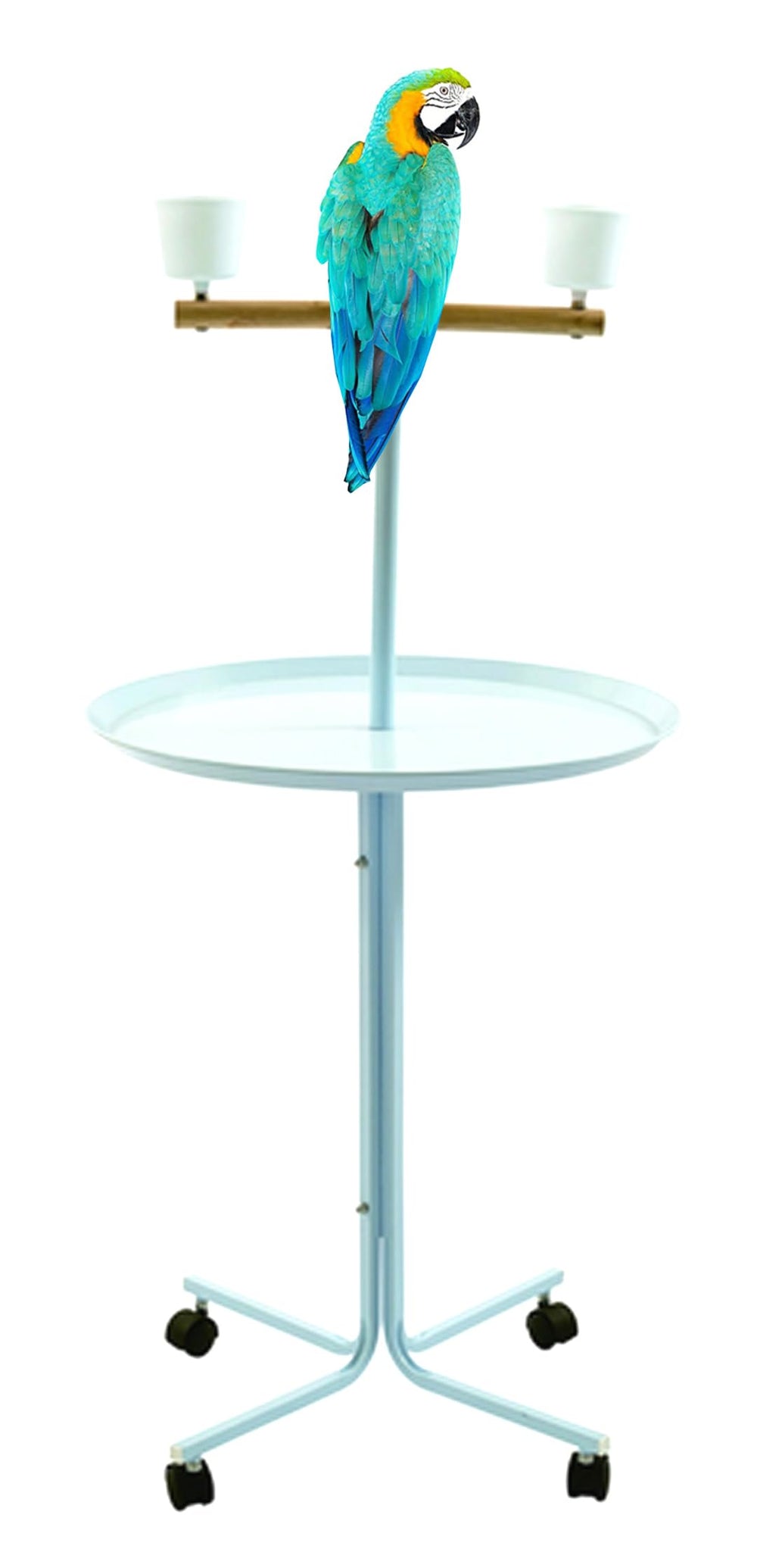 Le mcage-base-metallique-47-perroquet offre une base solide et stable.