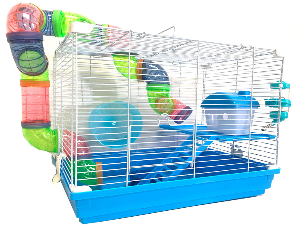 Mcage habitat 2 niveaux: porte d'accès pratique et design bleu