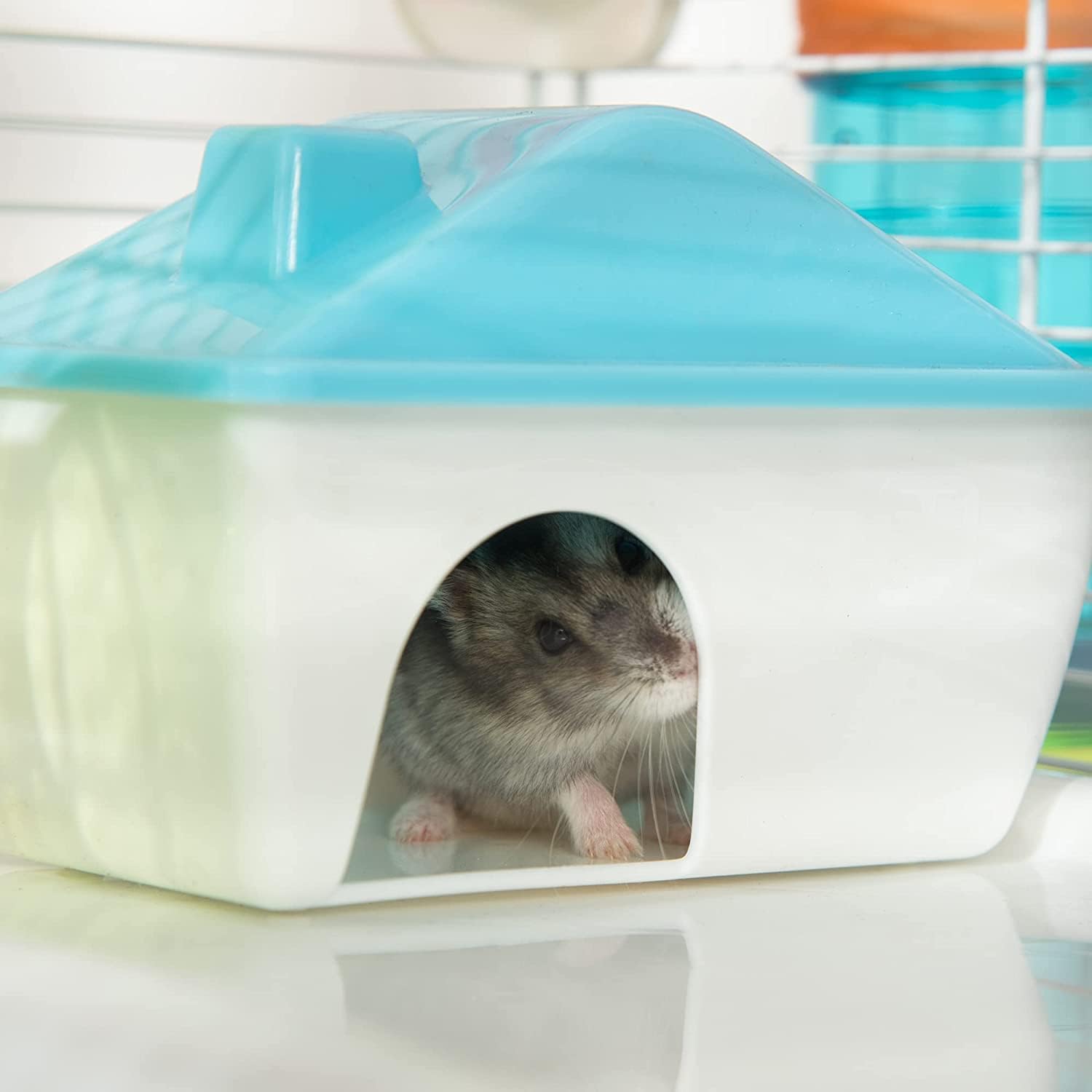 Mcage Hamster Palace 2-tiers — tuyau d'extension pour personnaliser l'espace.