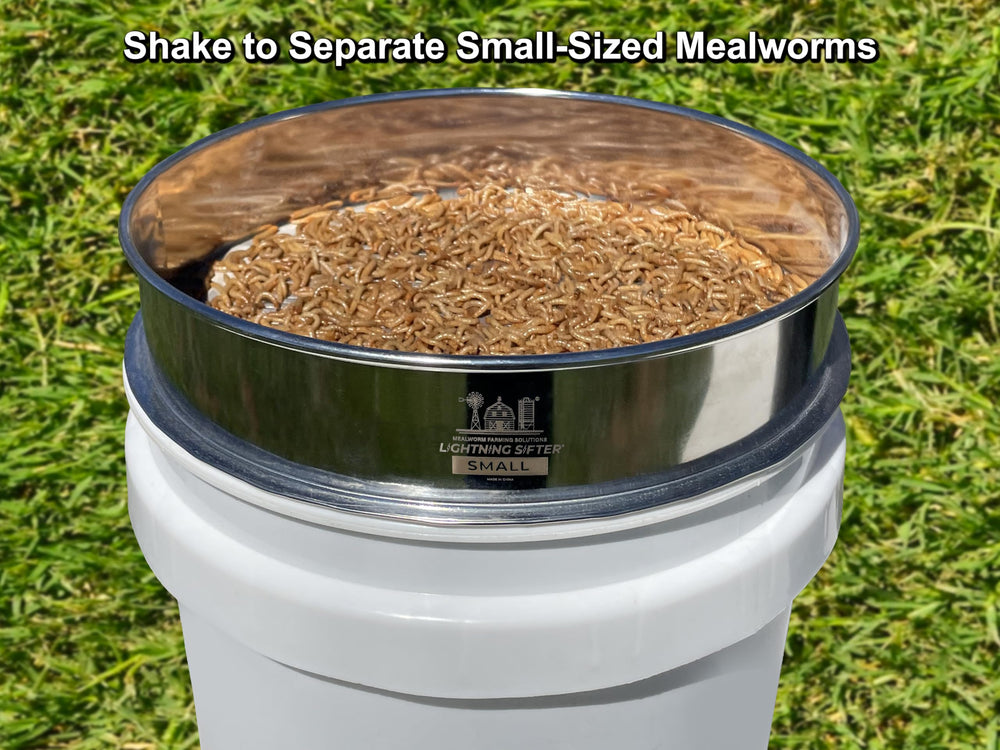 Mealworm Farming Solutions D-11, espace généreux pour séparer vers, pupes et débris.