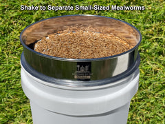 Mealworm Farming Solutions D-11, espace généreux pour séparer vers, pupes et débris.
