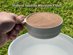 Mealworm Farming Solutions D-11 Tamiseur-empilable-seau-5-gallon: outil pratique sur seau standard