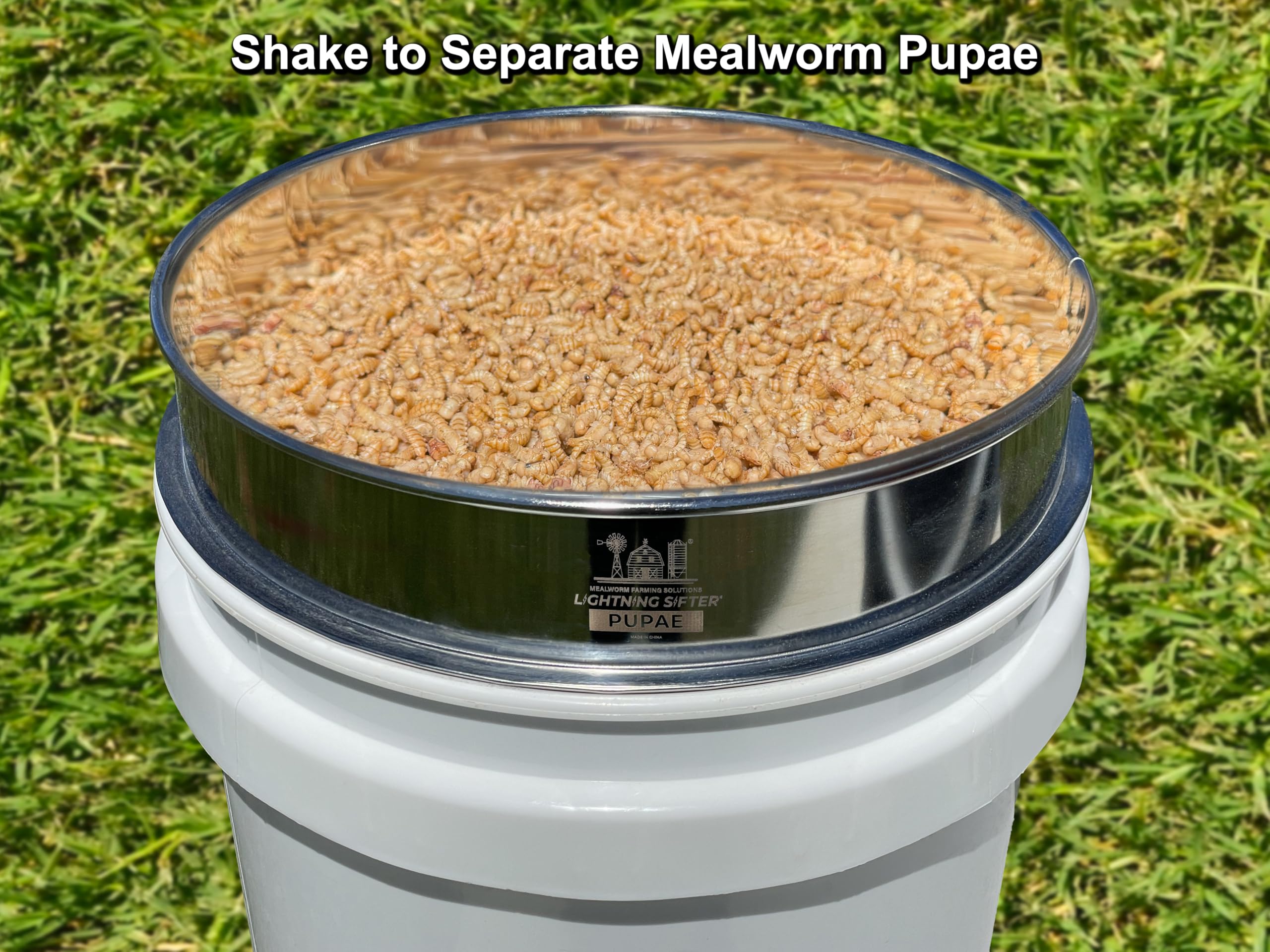 Tamis D-11 empilable de Mealworm Farming Solutions, parfait sur un seau standard.