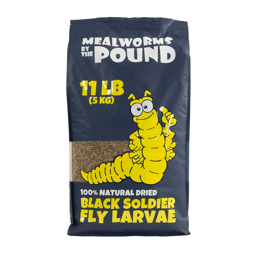 Mealworms by the Pound - emballage durable et pratique pour le stockage.