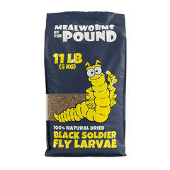 Mealworms by the Pound - emballage durable et pratique pour le stockage.