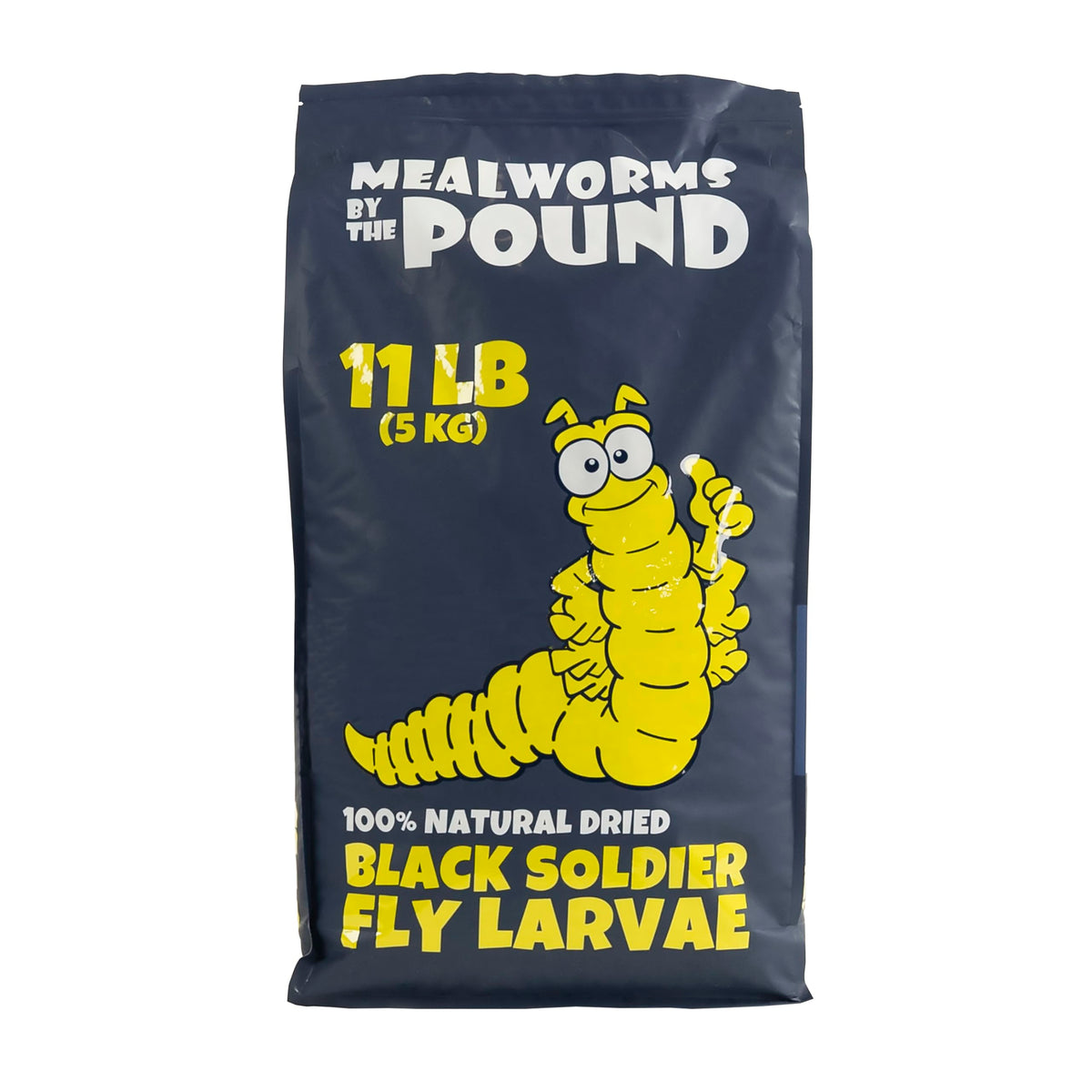 Mealworms by the Pound - larves noires sèches dans l'emballage, riches en protéines pour animaux.