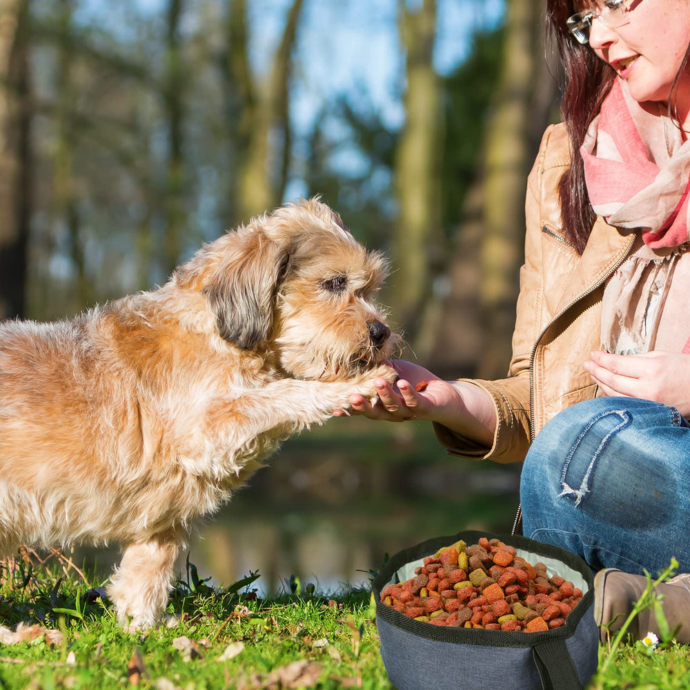 Meanplan bol pour chat et chien bleu – idéal pour trajets en voiture