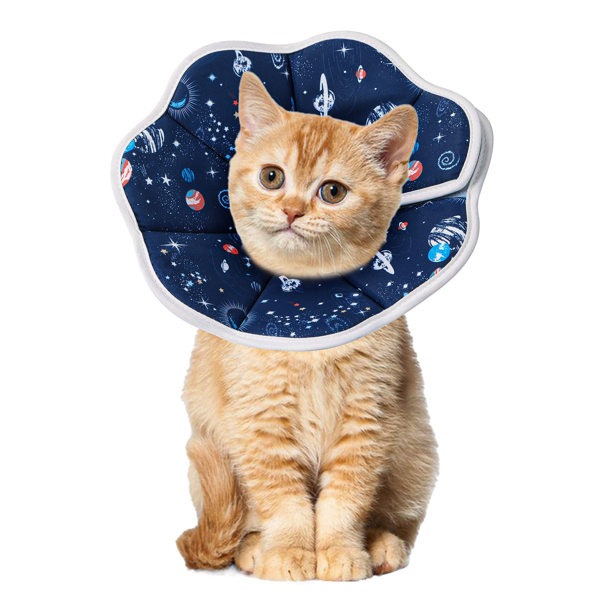 Collier Mechpia pour chat en twill doux, confort pendant la récupération.