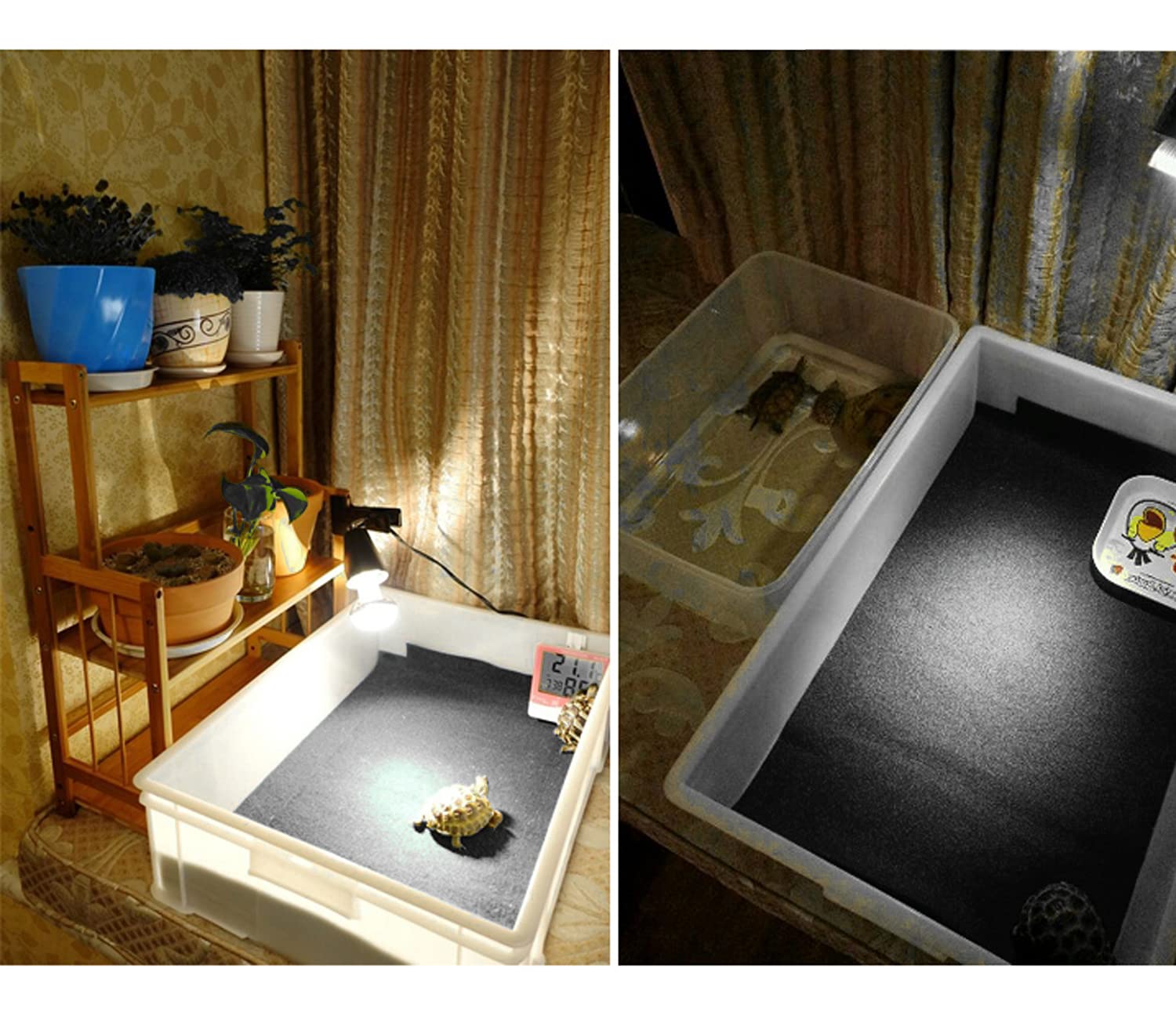 Mechpia Tapis-terarium bordures gris 120x60 cm, protège surfaces mouillées et propres.
