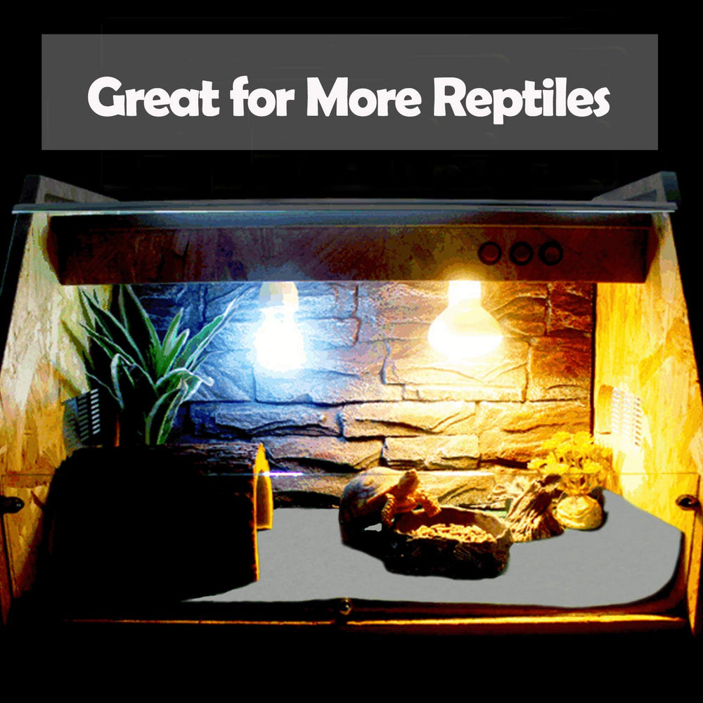 Mechpia Tapis-liner reptile gris 120x60 cm, sécurité et absorption efficaces.