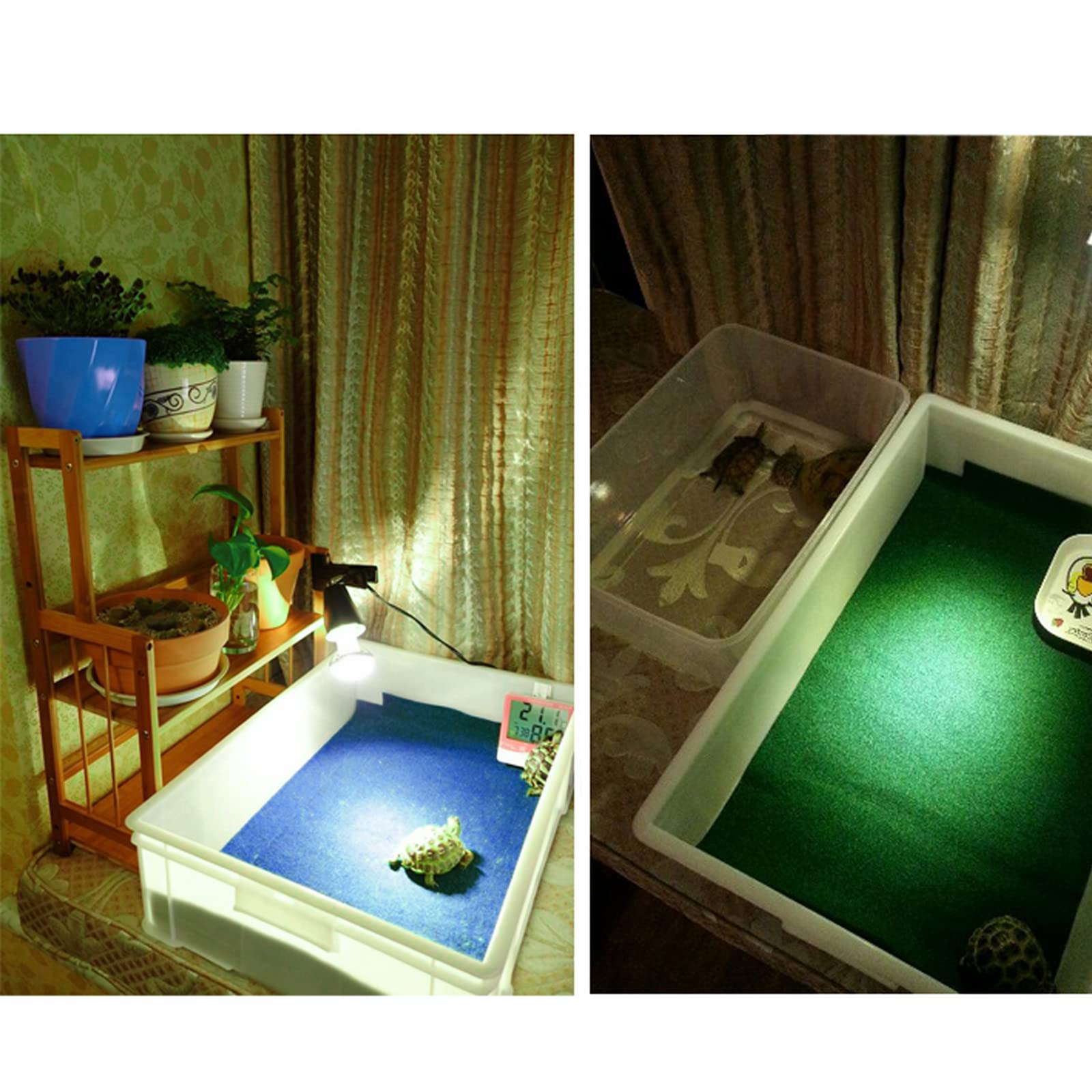 Mechpia tapis terrarium bleu – compatible avec 10-75 gallons