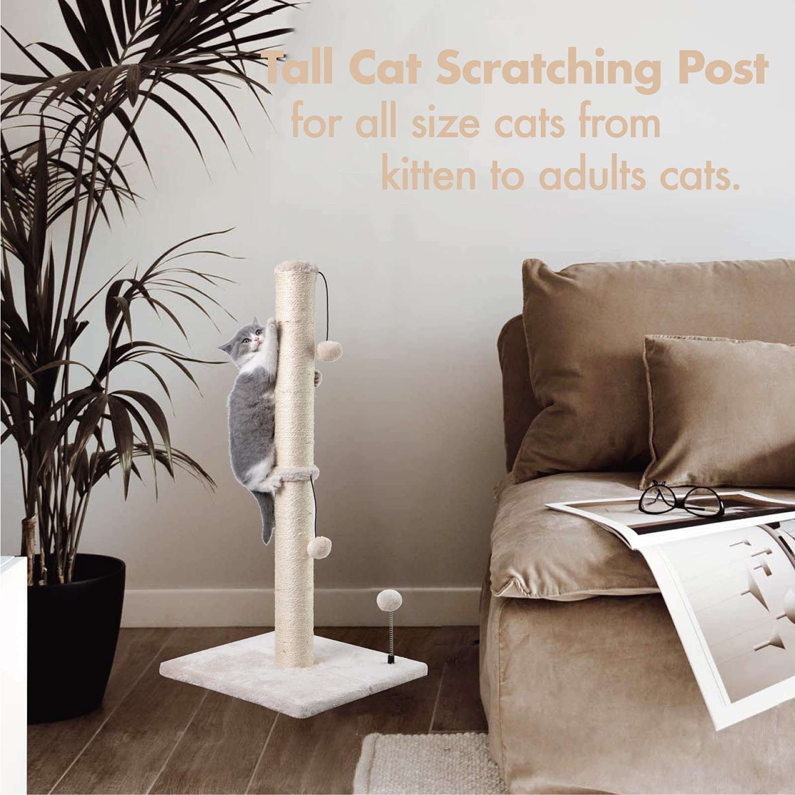 MECOOL Arbre-chat-interieur-neutre: couleur neutre s'harmonise avec tout décor.