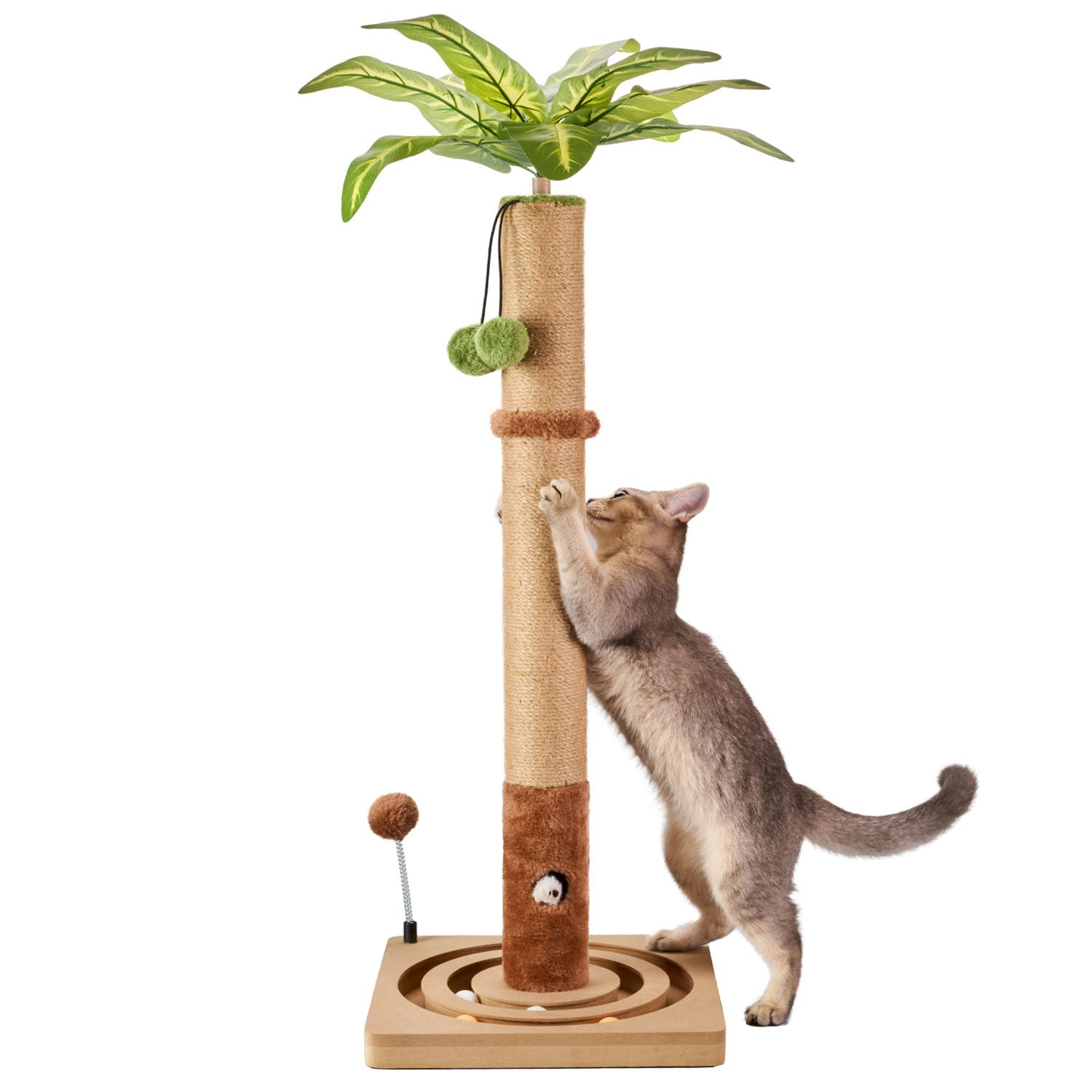 MECOOL base solide 35po pour stabilité et sécurité du chat.