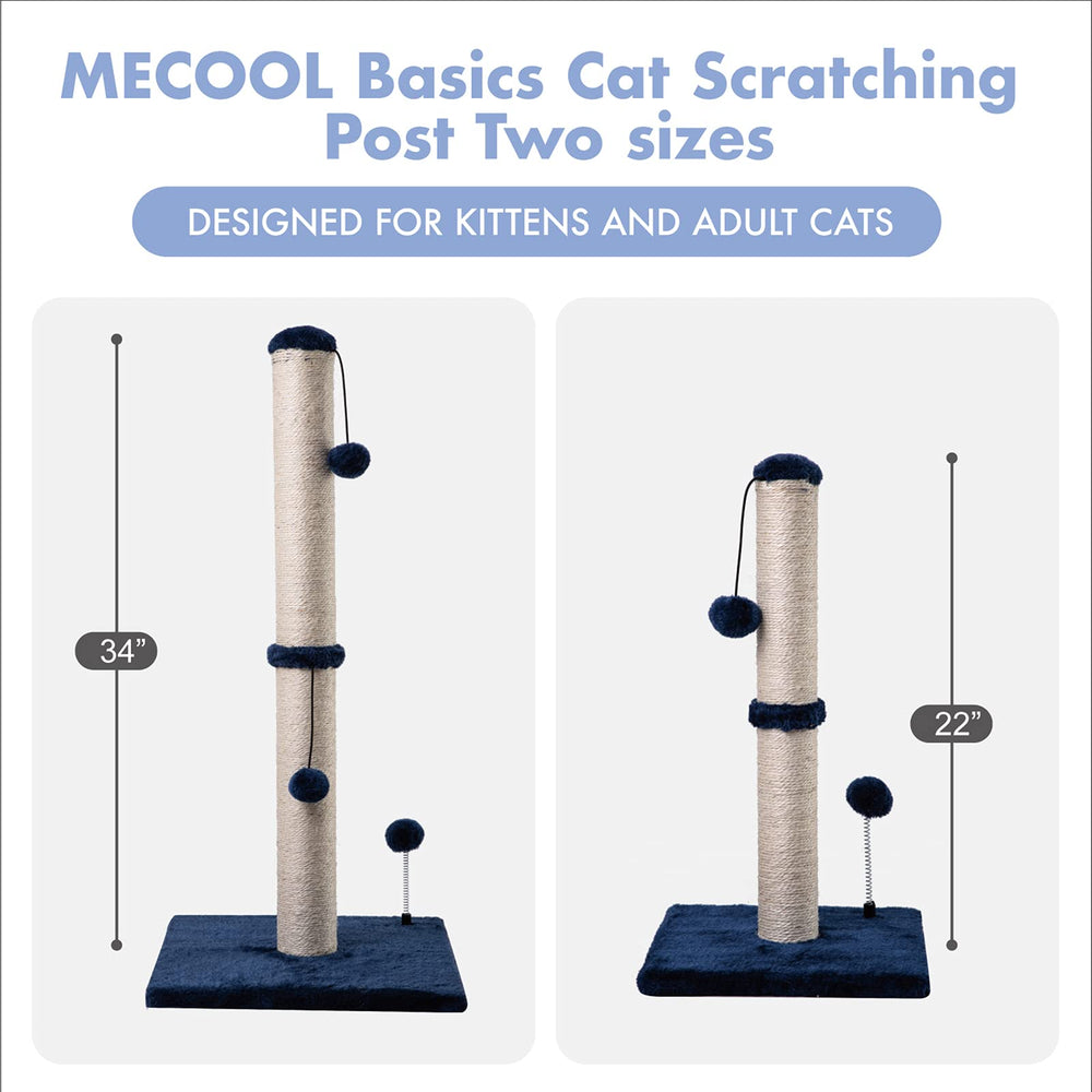 MECOOL usage chaton près du lit ou fenêtre, espace chic et pratique.