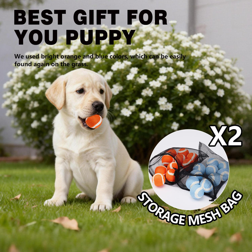 MECOOL taille 1,57 pouces adaptée aux petits chiens et espaces.