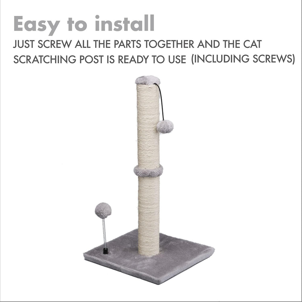 MECOOL Griffoir idéal pour chatons et petits chats, offre une alternative ludique.