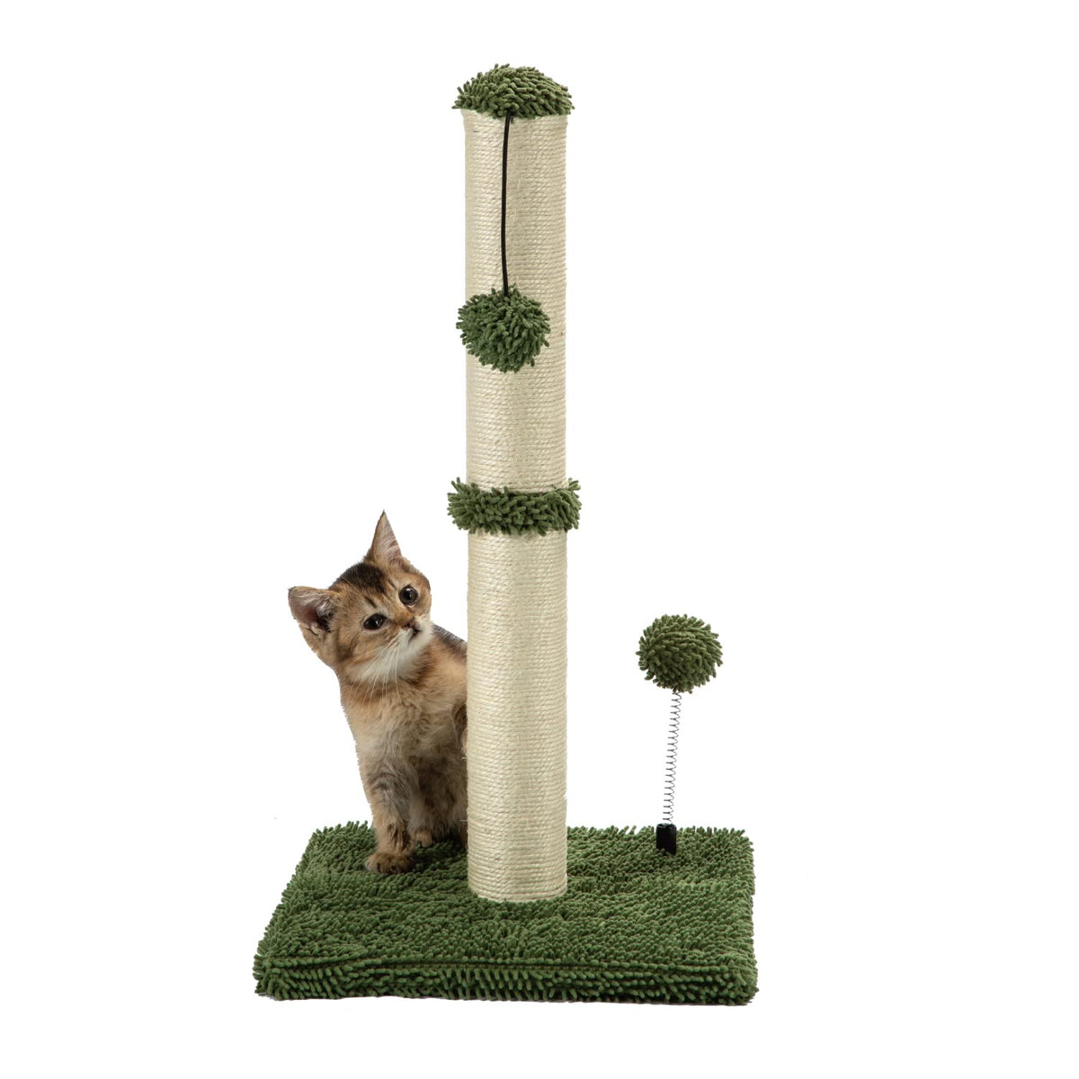 MECOOL griffoir premium basics pour chatons, sisal 22 po vert cactus, stimulation naturelle.