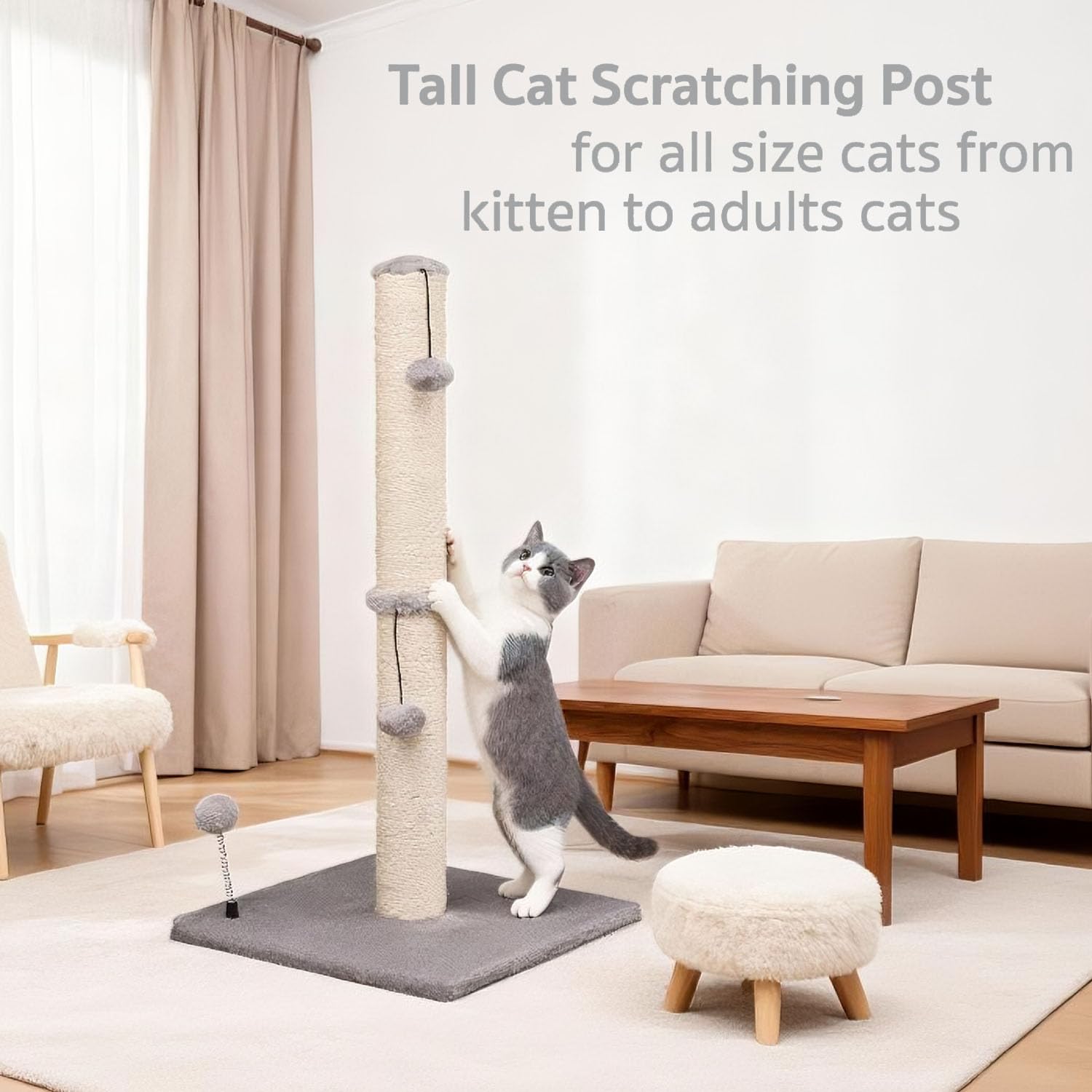 MECOOL 34 pouces, adapté pour chaton et chat adulte.