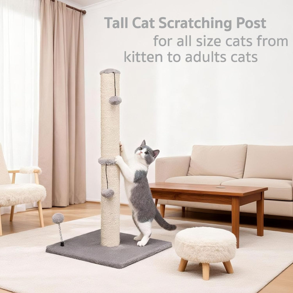 MECOOL 34 pouces, adapté pour chaton et chat adulte.