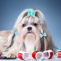 Meekoo petit nœud strass, accessoire raffiné pour chiots.