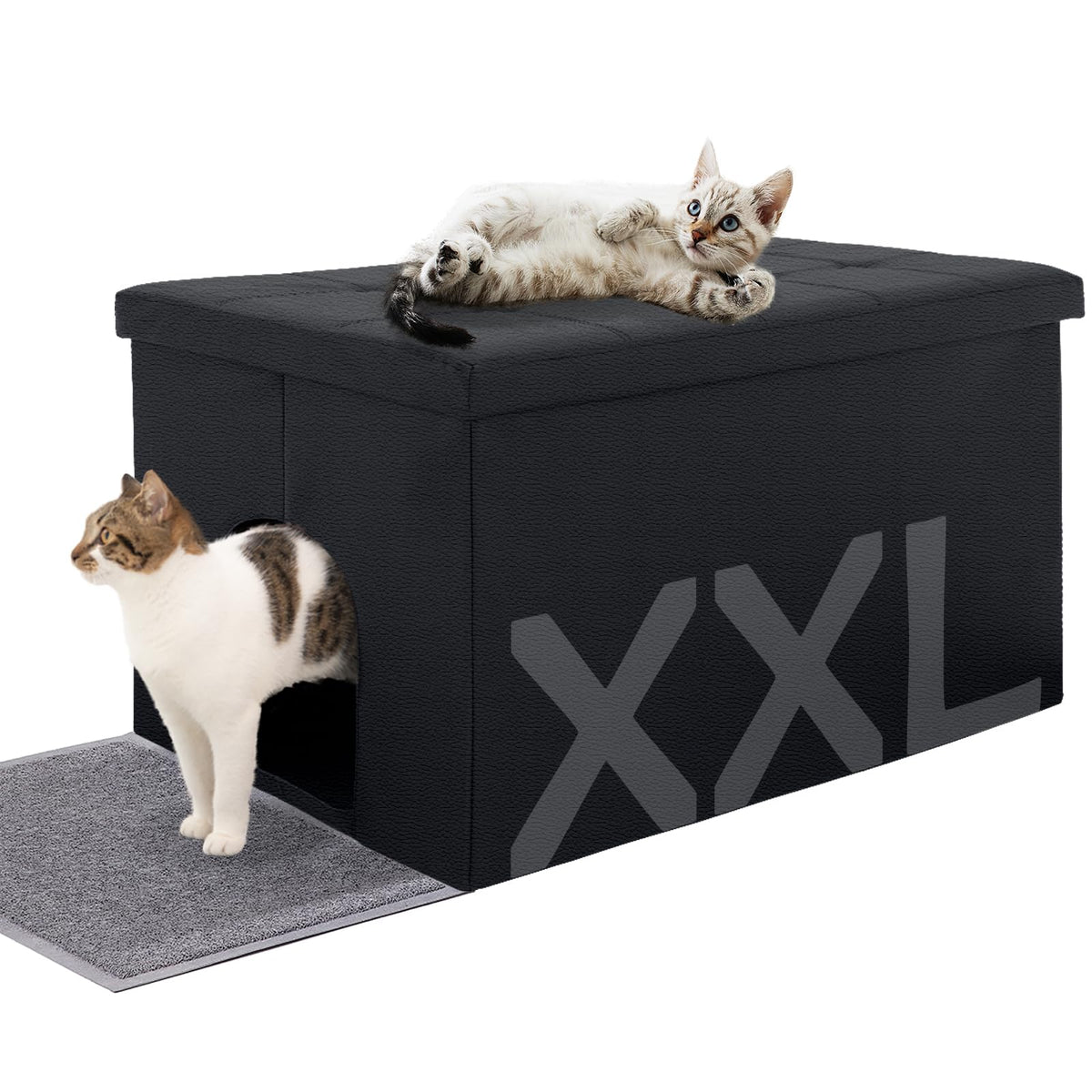 MEEXPAWS boîtier litière enclos extérieur : solution discrète pour dissimuler la litière.
