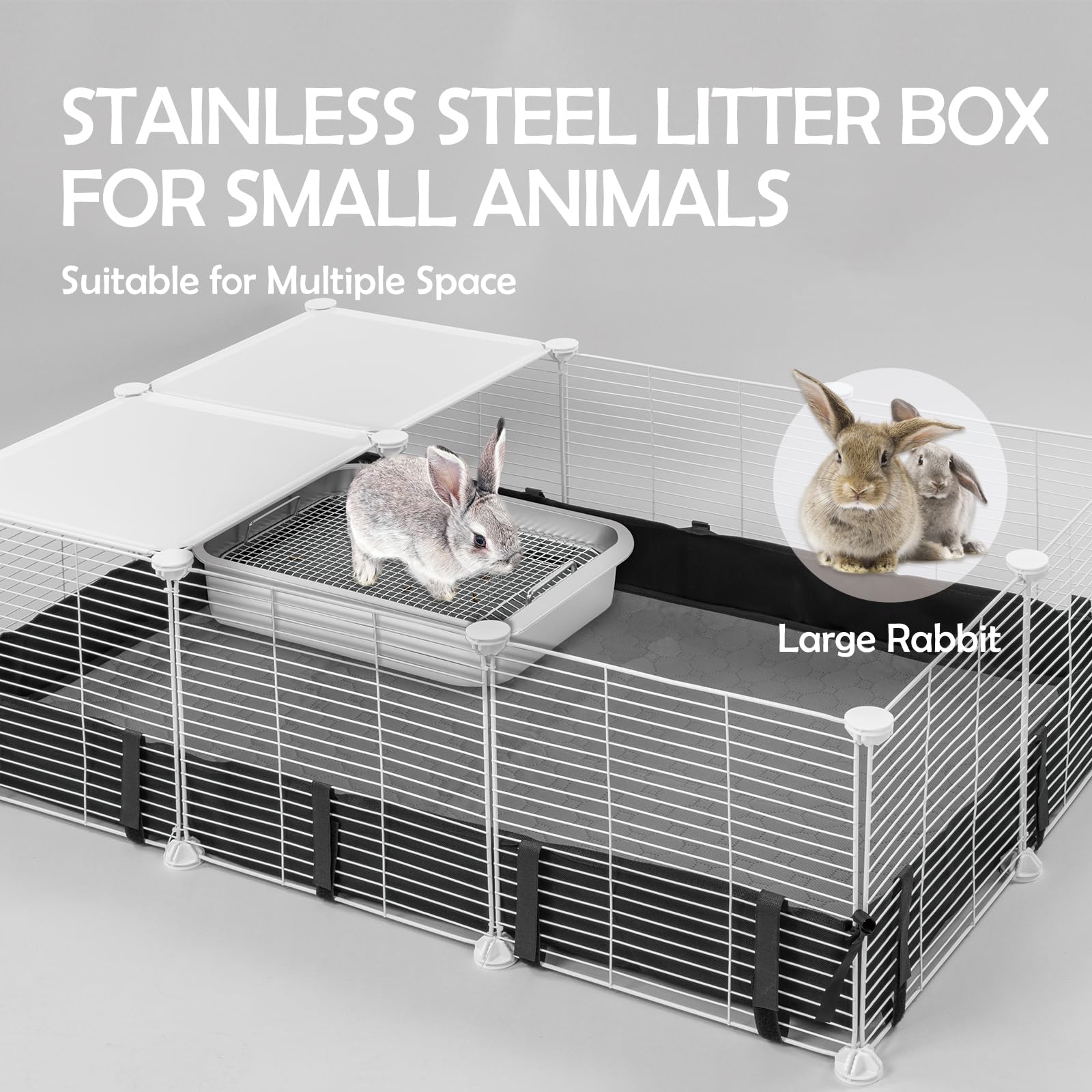 MEEXPAWS base antidérapante pour stabilité sur tous les sols