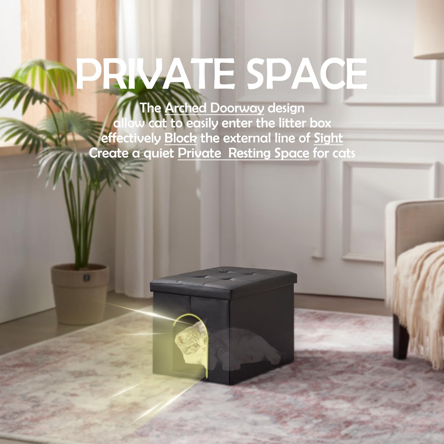 MEEXPAWS privacy-litiere-idée: offre intimité au chat lors de sa toilette.